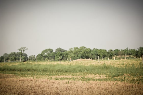 plot in sonpur